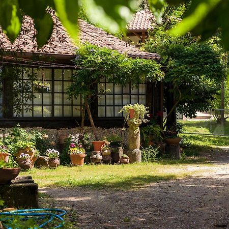 Chalé da Quinta Lavoura da Bouça - Fruta Bio Celorico De Basto Exterior foto