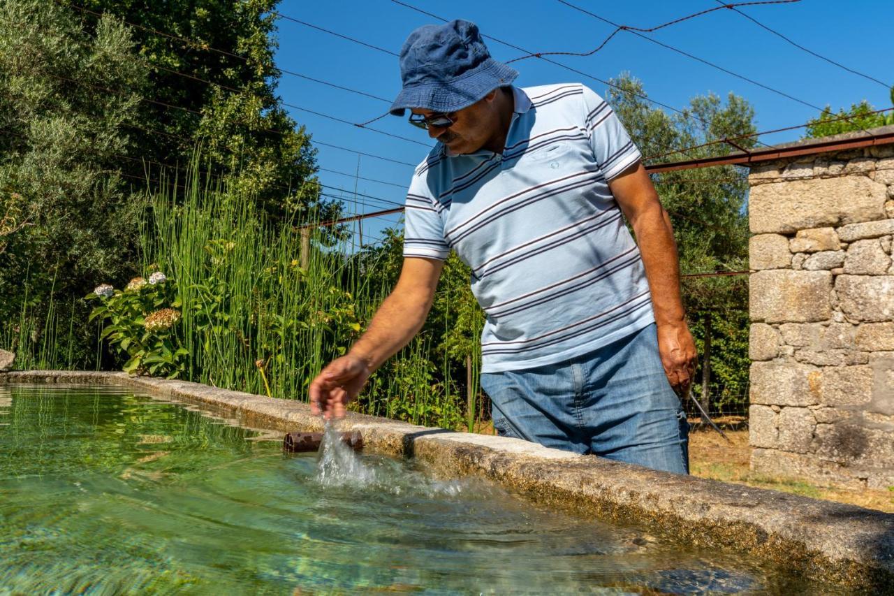 Chalé da Quinta Lavoura da Bouça - Fruta Bio Celorico De Basto Exterior foto