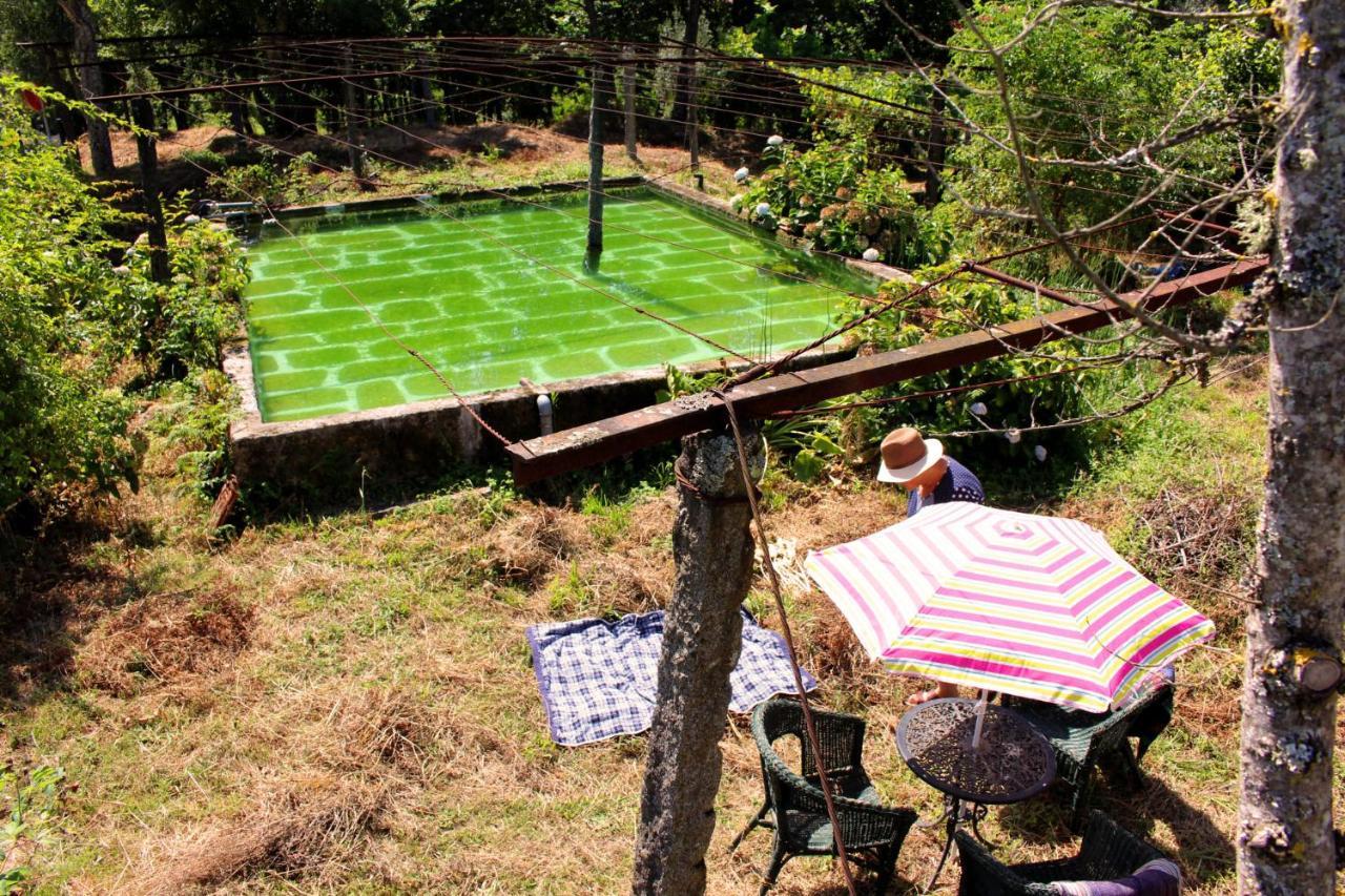 Chalé da Quinta Lavoura da Bouça - Fruta Bio Celorico De Basto Exterior foto