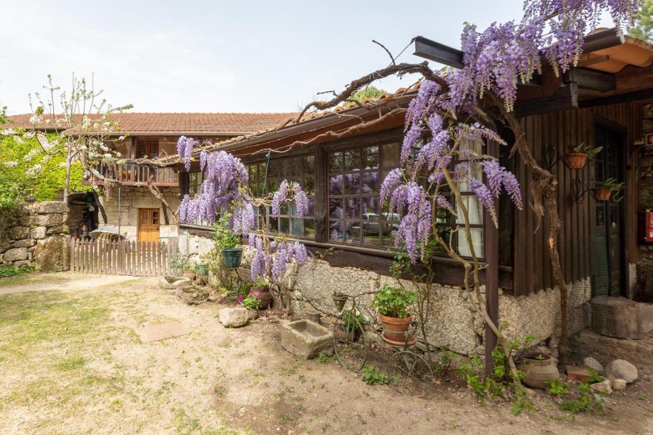 Chalé da Quinta Lavoura da Bouça - Fruta Bio Celorico De Basto Exterior foto
