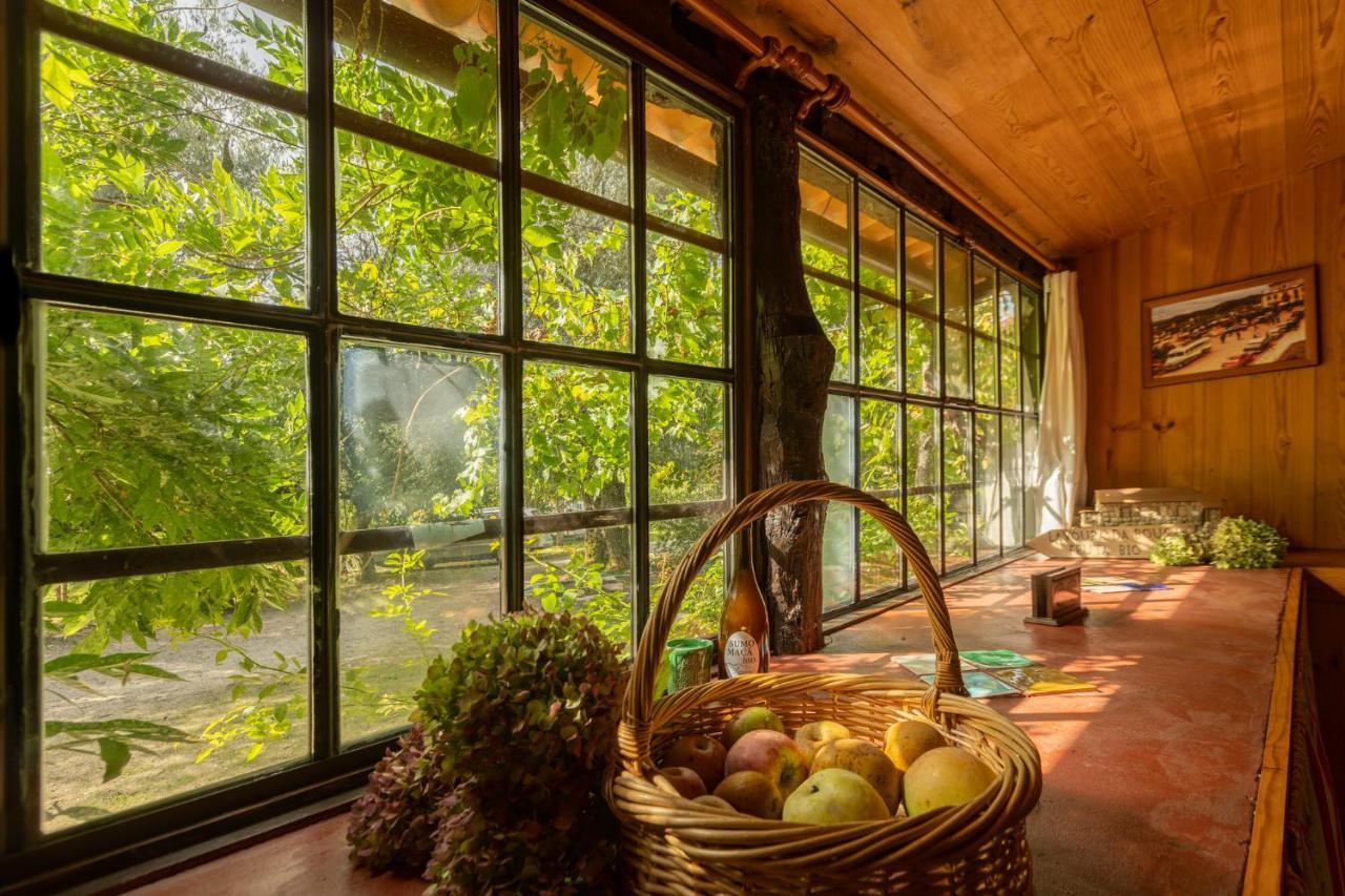 Chalé da Quinta Lavoura da Bouça - Fruta Bio Celorico De Basto Exterior foto