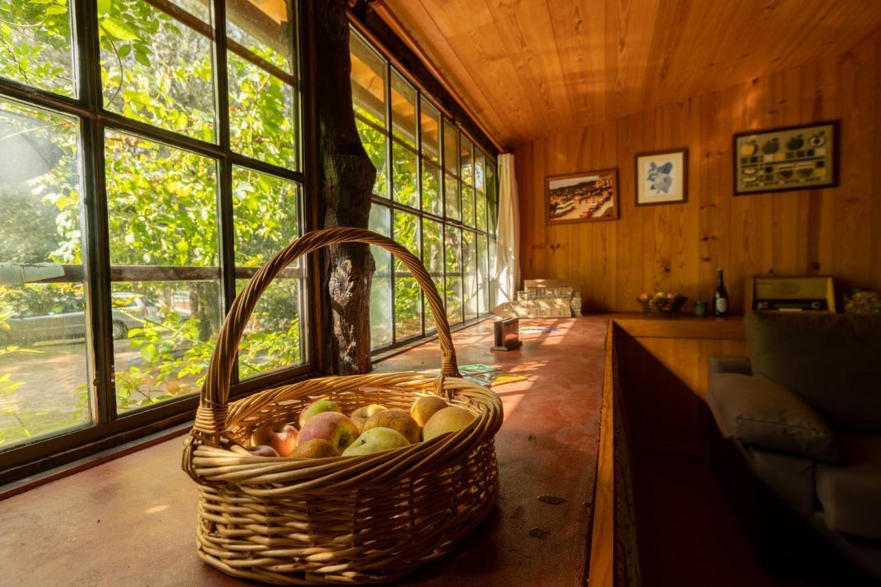 Chalé da Quinta Lavoura da Bouça - Fruta Bio Celorico De Basto Exterior foto
