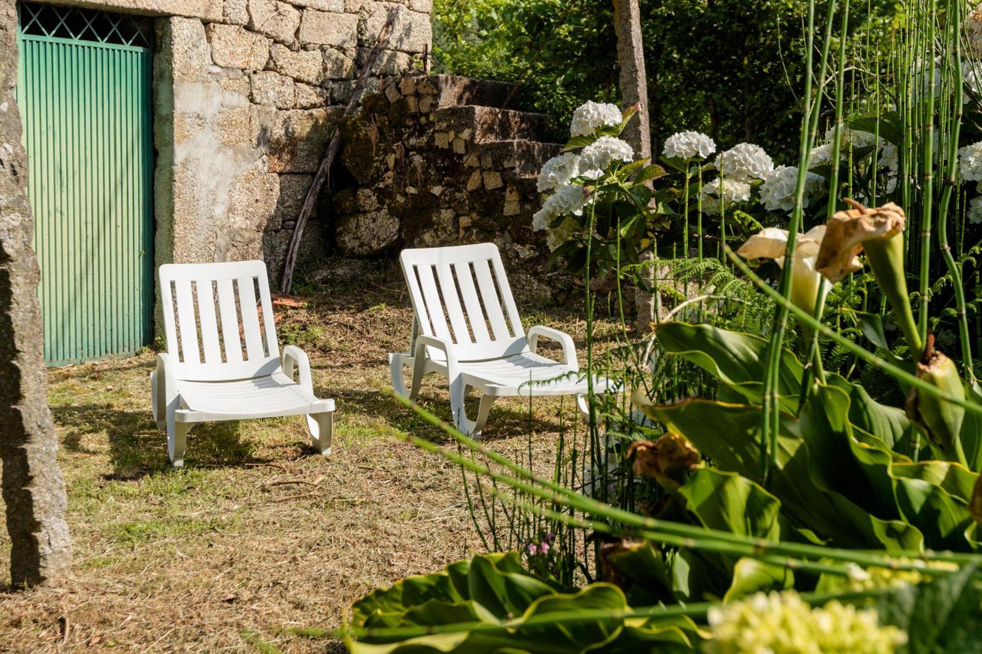 Chalé da Quinta Lavoura da Bouça - Fruta Bio Celorico De Basto Exterior foto