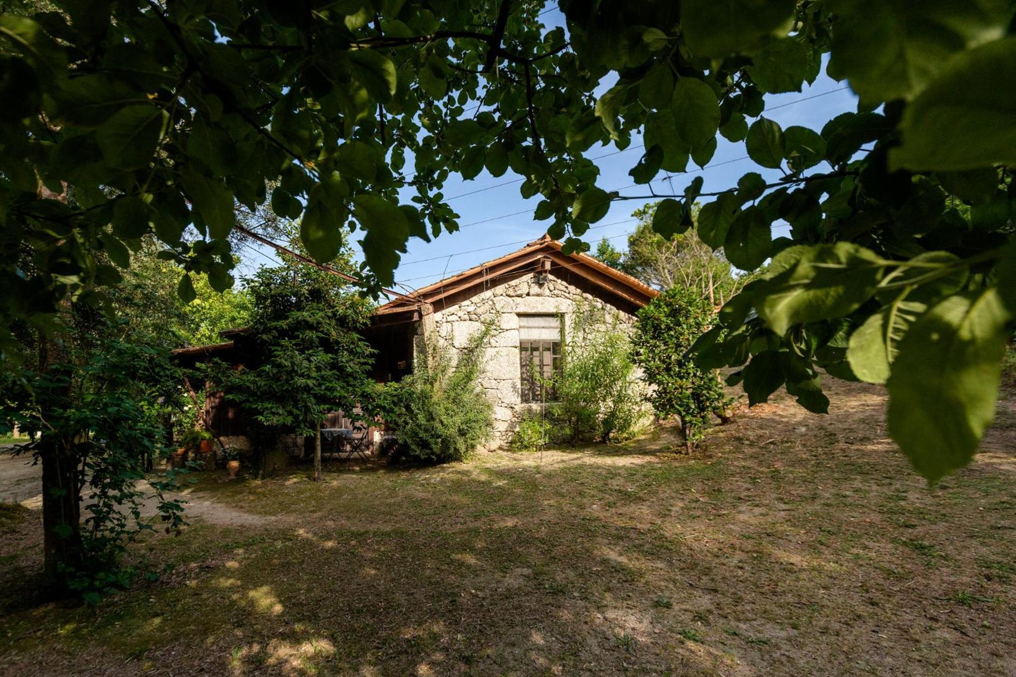 Chalé da Quinta Lavoura da Bouça - Fruta Bio Celorico De Basto Exterior foto