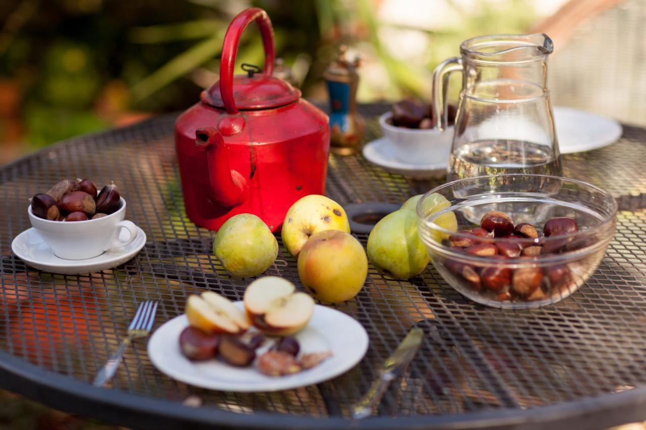 Chalé da Quinta Lavoura da Bouça - Fruta Bio Celorico De Basto Habitación foto